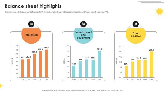Balance Sheet Highlights Professional Services And Tax Advisory Company Profile CP SS V