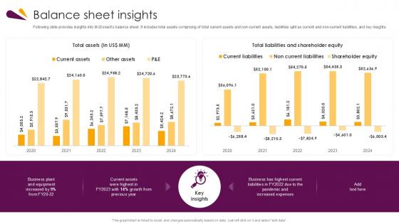 Balance Sheet Insights Food And Beverages Company Profile Ppt Template CP SS V