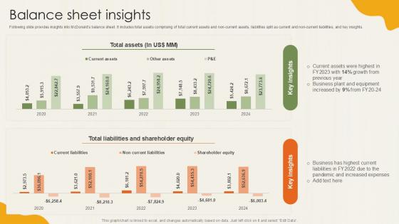 Balance Sheet Insights Food Retailer Company Profile Ppt Example CP SS V