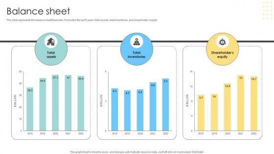 Balance Sheet Multinational Conglomerate Company Profile CP SS V