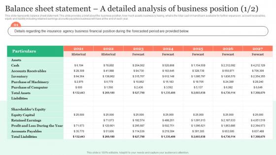 Balance Sheet Statement A Detailed Analysis Of Insurance Business Plan Rules Pdf