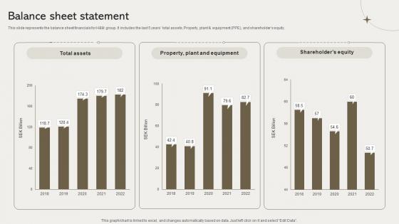 Balance Sheet Statement Clothing Retailer Company Profile CP SS V