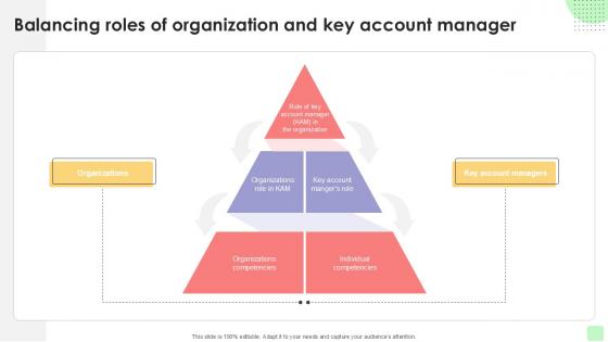 Balancing Roles Of Organization Detailed Business Account PPT Slide Strategy SS V Balancing Roles Of Organization Detailed Business Account PPT Slide Strategy SS V