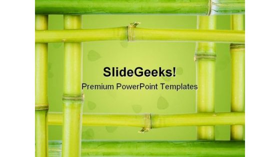 Bamboo Borders Nature PowerPoint Templates And PowerPoint Backgrounds 0511