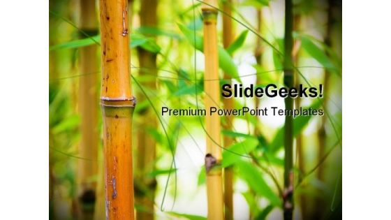 Bamboo Nature PowerPoint Templates And PowerPoint Backgrounds 0111