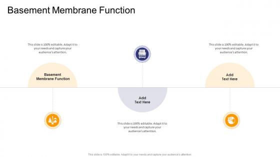 Basement Membrane Function In Powerpoint And Google Slides Cpb