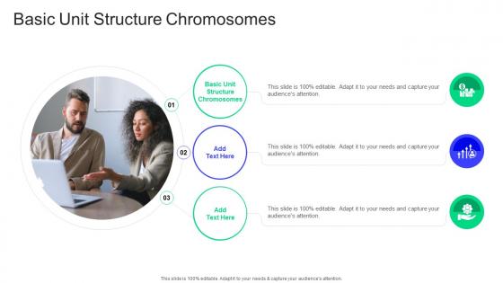 Basic Unit Structure Chromosomes In Powerpoint And Google Slides Cpb