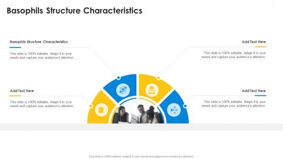 Basophils Structure Characteristics In Powerpoint And Google Slides Cpb