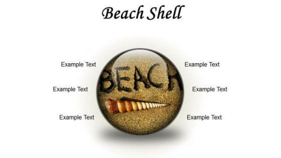 Beach Shell Holidays PowerPoint Presentation Slides C