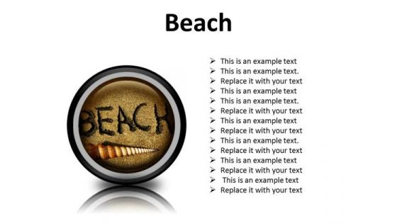 Beach Shell Holidays PowerPoint Presentation Slides Cc