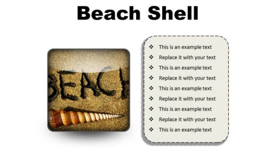 Beach Shell Holidays PowerPoint Presentation Slides S