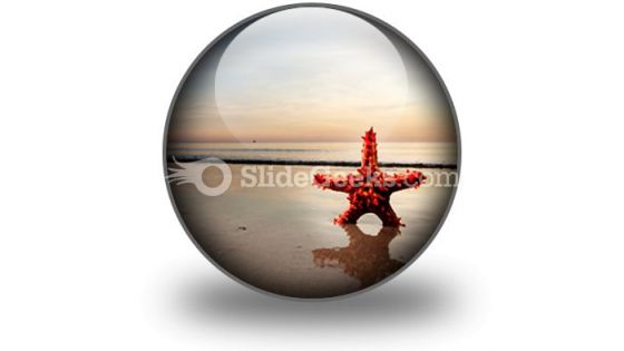 Beach Starfish PowerPoint Icon C Beach Starfish PowerPoint Icon C