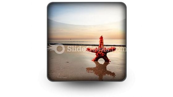 Beach Starfish PowerPoint Icon S