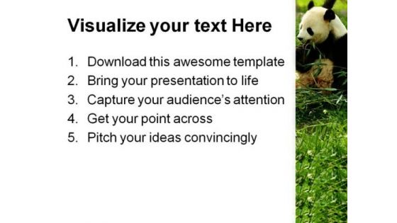 Bear Animals PowerPoint Themes And PowerPoint Slides 0211