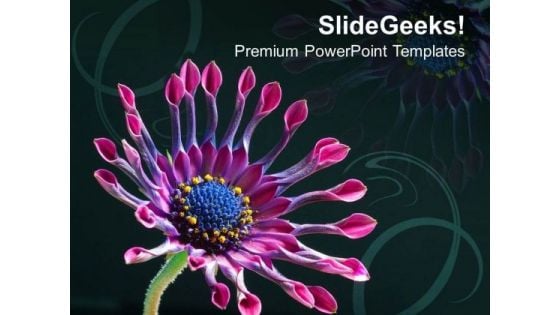 Beautiful Abstract Background Daisy Flower PowerPoint Templates Ppt Backgrounds For Slides 0413