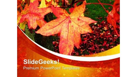 Beautiful Autumn Leaves PowerPoint Templates Ppt Backgrounds For Slides 0613