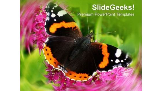 Beautiful Background With Butterfly PowerPoint Templates Ppt Backgrounds For Slides 0413