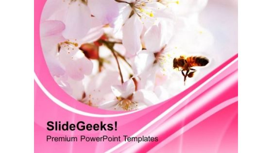 Beautiful Background With Pink Color PowerPoint Templates Ppt Backgrounds For Slides 0613