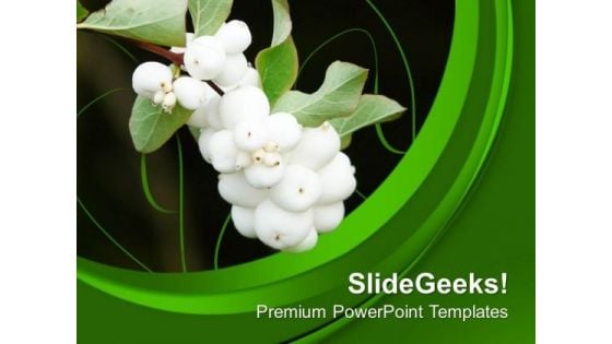 Beautiful Flower With Green Background Theme PowerPoint Templates Ppt Backgrounds For Slides 0713