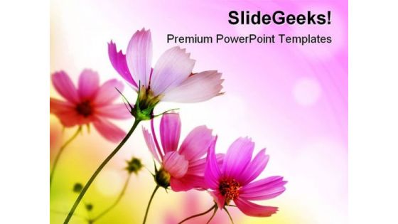 Beautiful Pink Flowers Beauty PowerPoint Templates And PowerPoint Backgrounds 0411