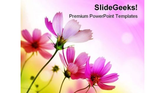 Beautiful Pink Flowers Beauty PowerPoint Themes And PowerPoint Slides 0411