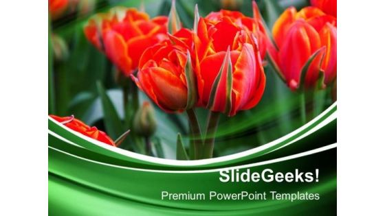 Beautiful Red Flowers Garden PowerPoint Templates And PowerPoint Themes 0512