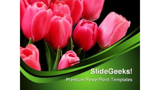 Beautiful Tulips Beauty PowerPoint Templates And PowerPoint Backgrounds 0311