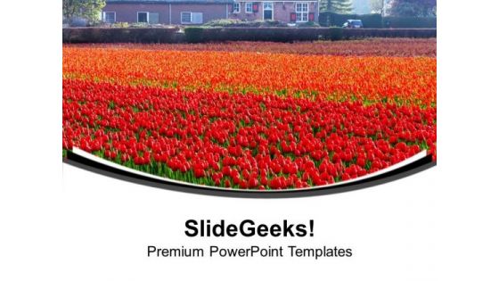 Beautiful Tulips Garden Decoration PowerPoint Templates Ppt Backgrounds For Slides 0313