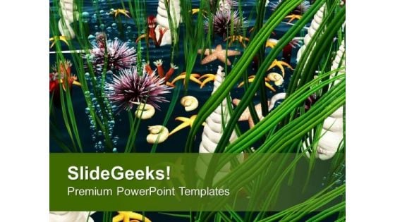 Beautiful Underwater Background Theme PowerPoint Templates Ppt Backgrounds For Slides 0513 Beautiful Underwater Background Theme PowerPoint Templates Ppt Backgrounds For Slides 0513
