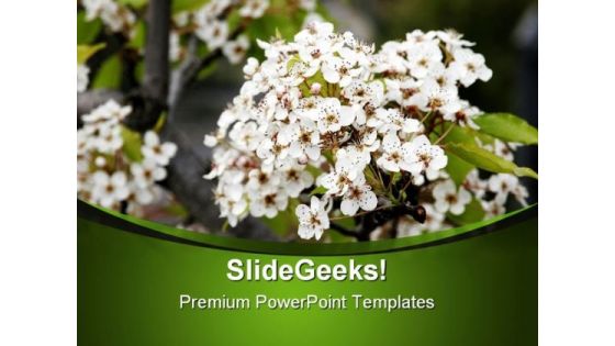 Beautiful White Flowers Nature PowerPoint Templates And PowerPoint Backgrounds 0311