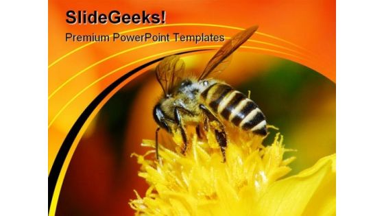 Bee And Flowers Nature PowerPoint Themes And PowerPoint Slides 0211