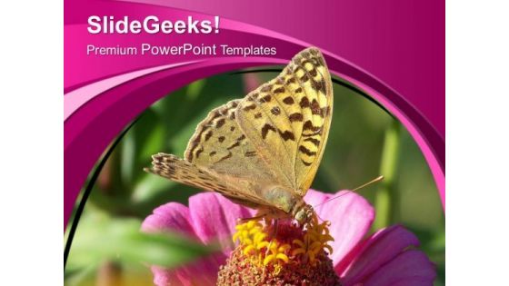 Bee On Blooming Flower PowerPoint Templates Ppt Backgrounds For Slides 0513