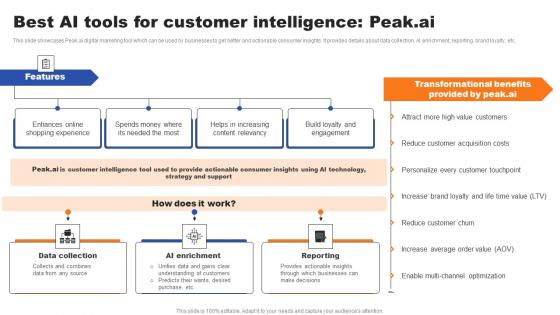 Best AI Tools For Customer Intelligence Peakai Ppt Infographic Template Clipart Images PDF