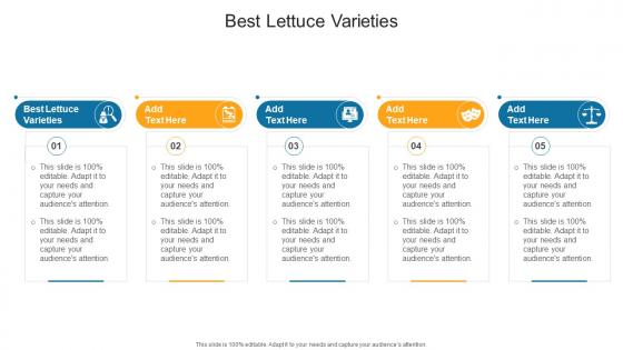 Best Lettuce Varieties In Powerpoint And Google Slides Cpb Best Lettuce Varieties In Powerpoint And Google Slides Cpb