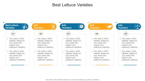 Best Lettuce Varieties In Powerpoint And Google Slides Cpb