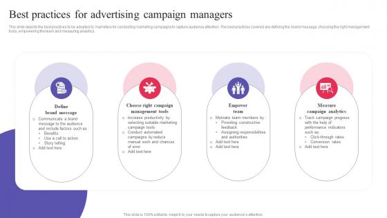 Best Practices For Advertising Campaign Managers Digital Promotional Campaign Download Pdf