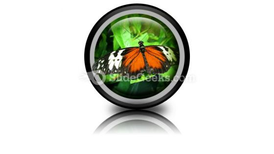 Big Butterfly PowerPoint Icon Cc