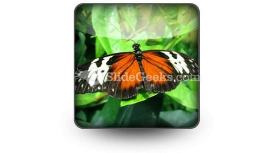 Big Butterfly PowerPoint Icon S