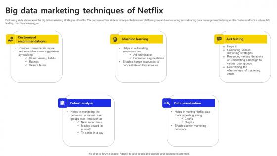 Big Data Marketing Techniques Of Netflix Ppt Icon Styles PDF