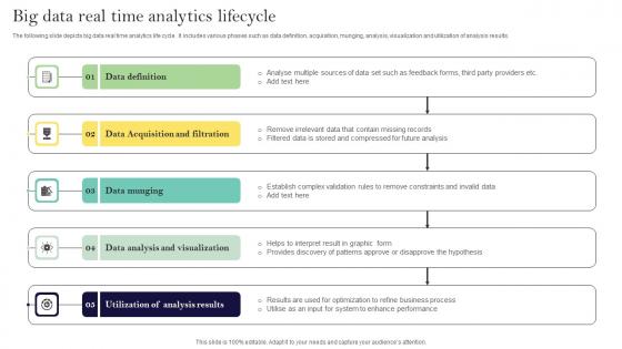 Big Data Real Time Analytics Lifecycle Ppt Icon Clipart Pdf