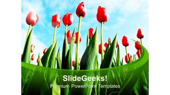 Big Tulips Decoration Celebration PowerPoint Templates Ppt Backgrounds For Slides 0213