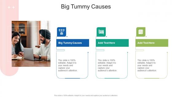 Big Tummy Causes In Powerpoint And Google Slides Cpb