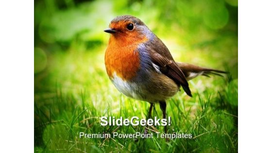 Bird Animals PowerPoint Backgrounds And Templates 0111