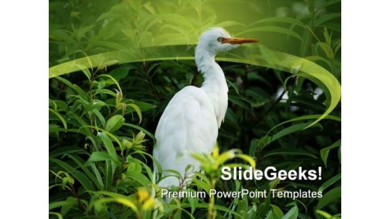 Bird In Tree Animals PowerPoint Templates And PowerPoint Backgrounds 0211 Bird In Tree Animals PowerPoint Templates And PowerPoint Backgrounds 0211