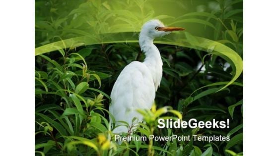 Bird In Tree Animals PowerPoint Themes And PowerPoint Slides 0211