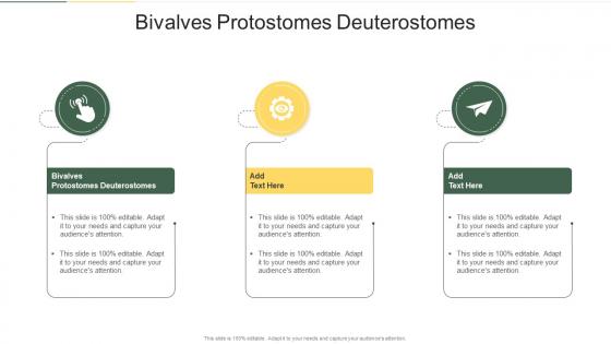 Bivalves Protostomes Deuterostomes In Powerpoint And Google Slides Cpb