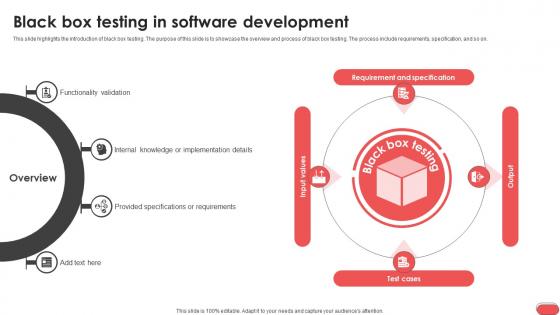 Black Box Testing In Software Development Gray Box Testing Best Practices Black Box Testing In Software Development Gray Box Testing Best Practices