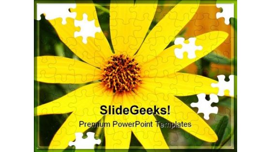 Black Eyed Susans Nature PowerPoint Templates And PowerPoint Backgrounds 0211