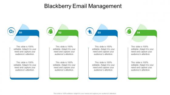 Blackberry Email Management In Powerpoint And Google Slides Cpb