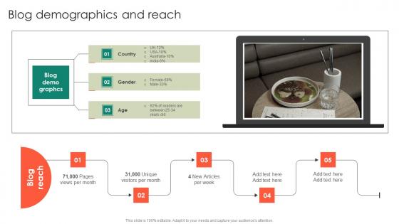 Blog Demographics And Reach Entrepreneurs Roadmap To Effective Diagrams Pdf